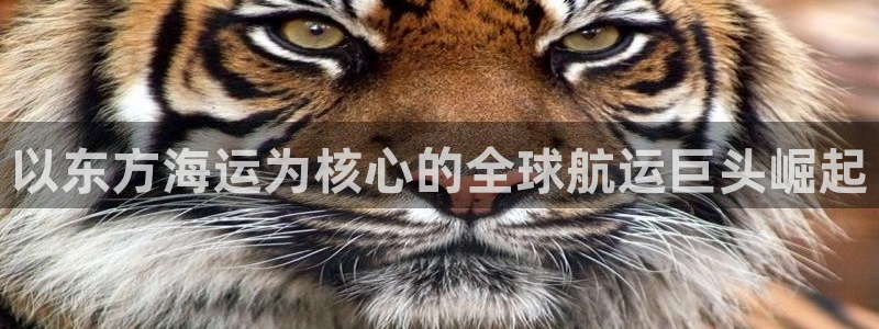 公海赌赌船官网jc710公海