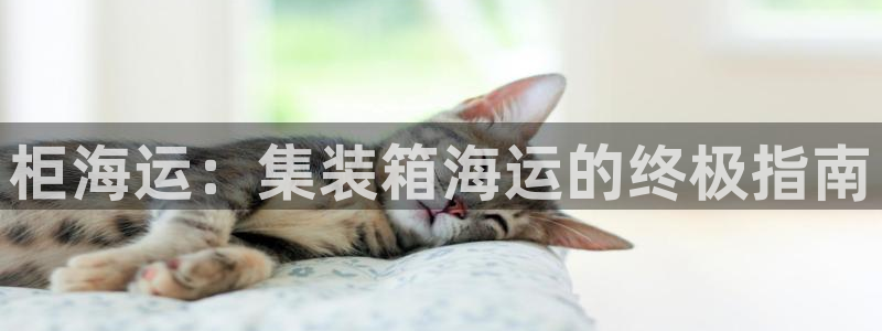 公海赌赌船系统维护要多久