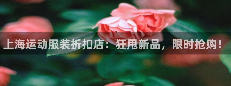 欢迎来公海欢迎来赌船!