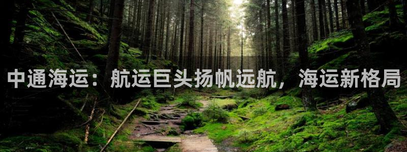 公海 赌船710手机版下载