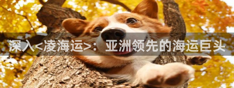 公海赌赌船系统维护要多久