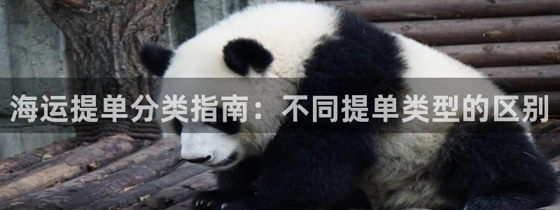 欢迎来到公海电脑版
