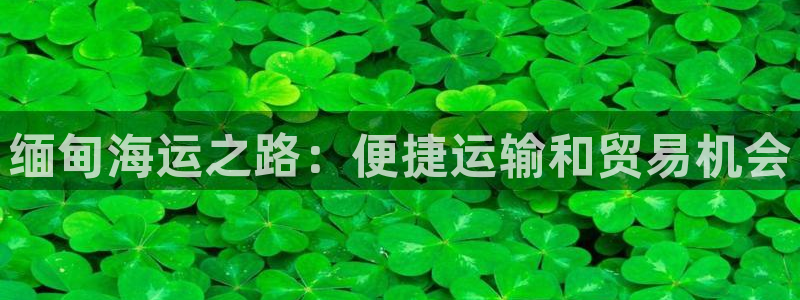 公海赌船网址710