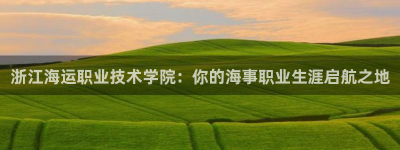 公海赌赌船手机下载