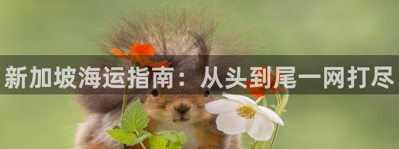 公海 赌船710手机版下载