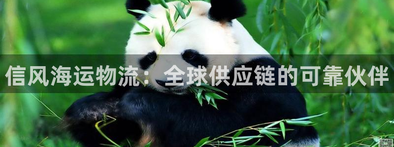 欢迎上船
