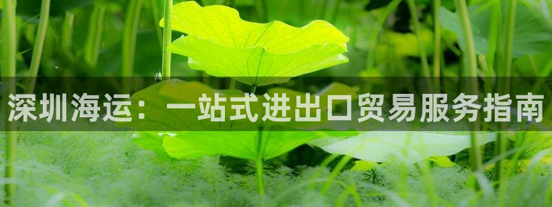 欢迎你来到 公主的海岛