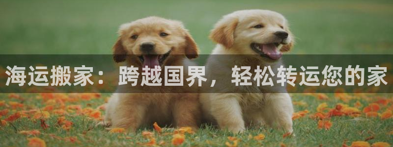 欢迎来到赌船公海710