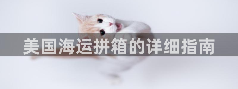 欢迎你来到公主的海岛