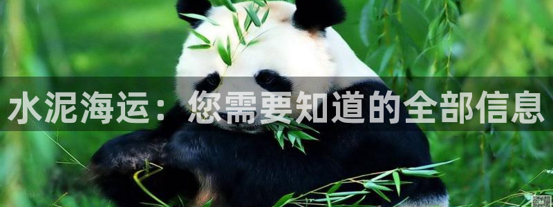 公海赌博为什么不犯法