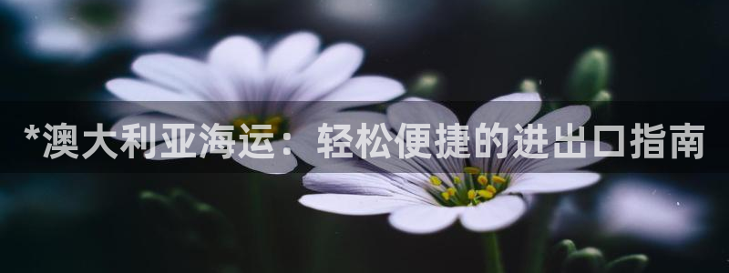 公海赌博为什么没人管