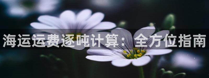 公海赌赌船710检测路线