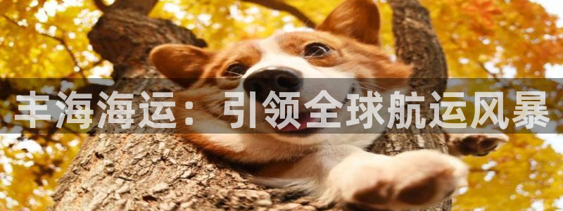 欢迎你来到公海欢迎你来到赌船701
