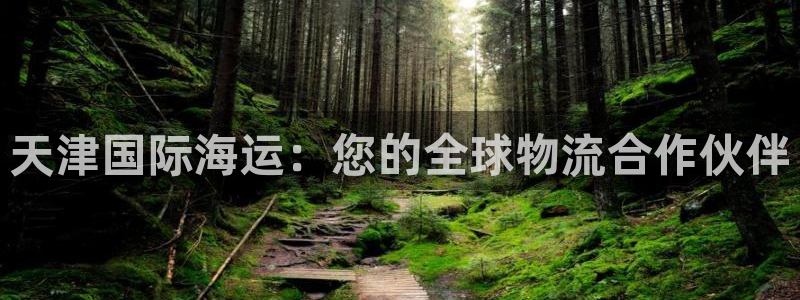 欢迎来到公海电脑版