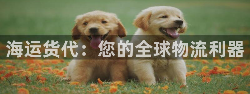 欢迎来到海牛星简谱