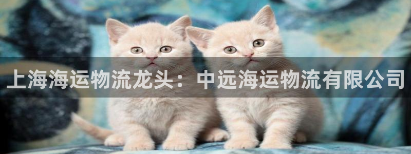 欢迎你来到公海欢迎你来到赌船