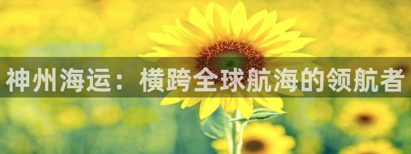 欢迎来到大海
