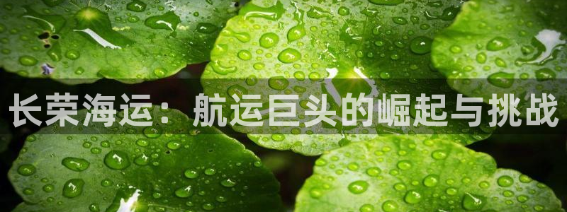 欢迎登船