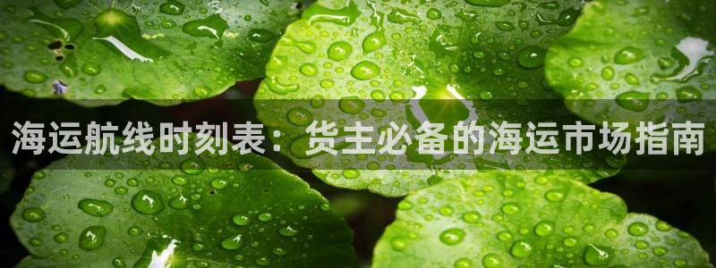 公海 赌船710手机版下载官方