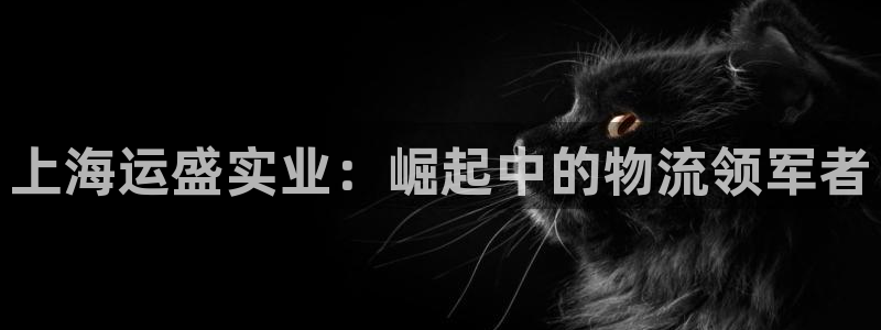 公海 赌船710手机版下载