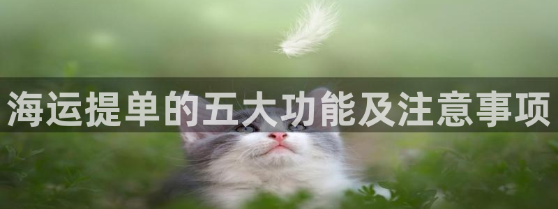 公海赌赌船贵宾会员检测路线