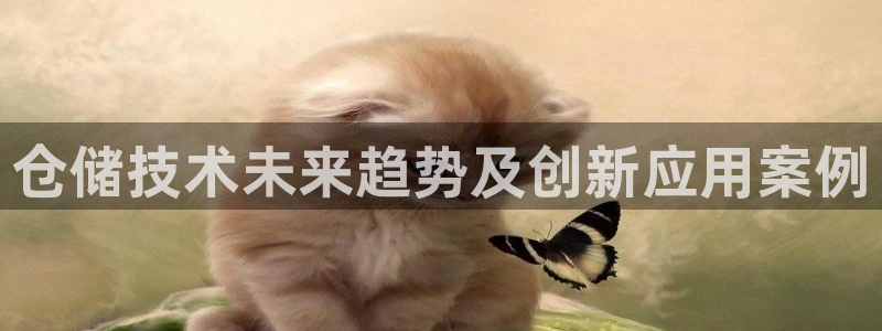 公海赌船吧