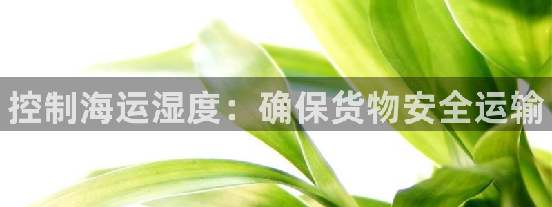 欢迎来公海欢迎来到船701