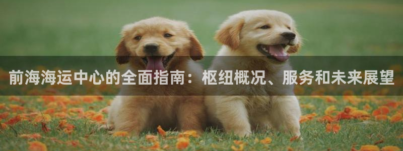 公海赌赌船手机下载