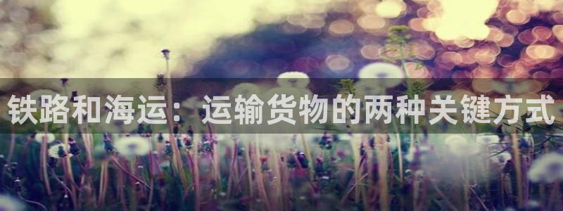 公海赌赌船系统维护要多久