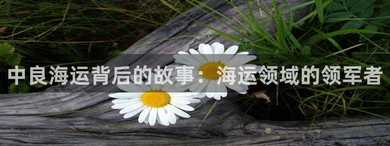公海赌赌船官网
