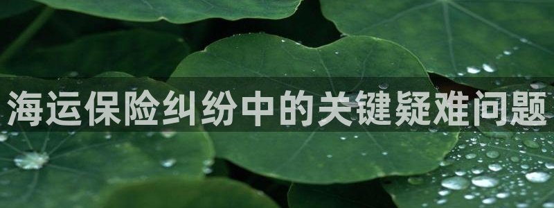 公海赌船官网下载