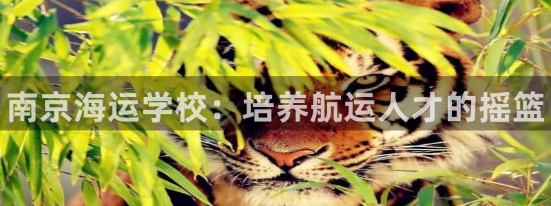 公海欢迎来到