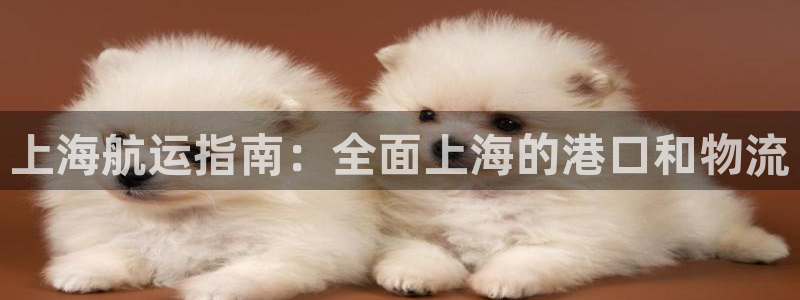 欢迎你来到公主的海岛