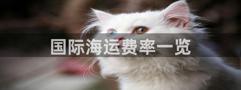 欢迎公海来到赌船710