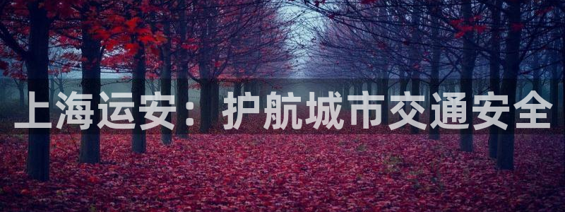 公海赌博为什么没人管