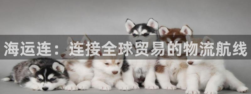 公海赌赌船官网jc710