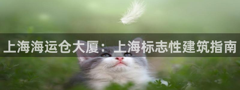公海赌钱违法吗