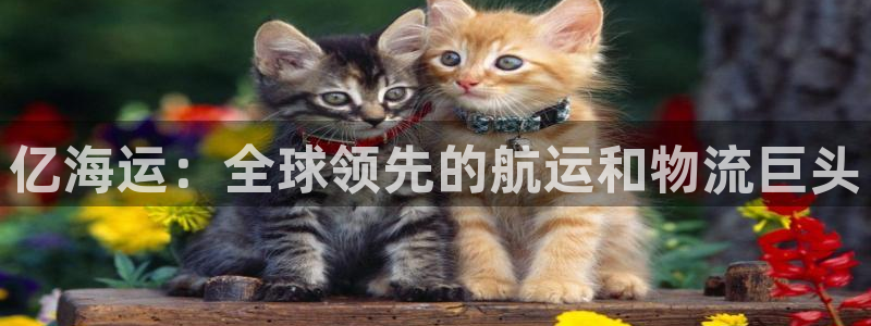 欢迎您来到公海客服