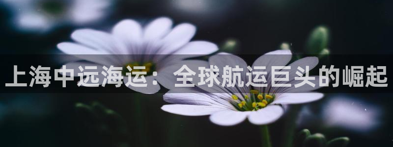 欢迎上船
