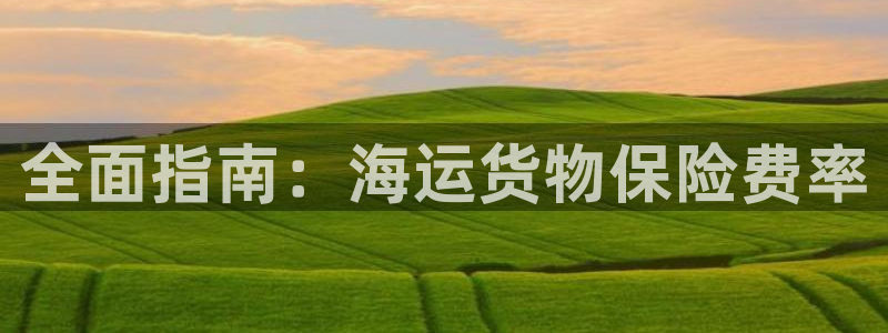 710公海赌赌船有总代理吗