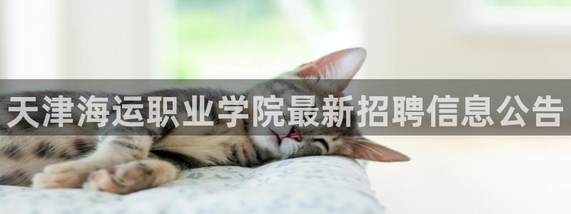欢迎来到海牛星简谱