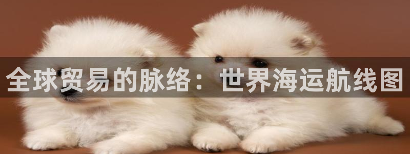 欢迎你来到 公主的海岛