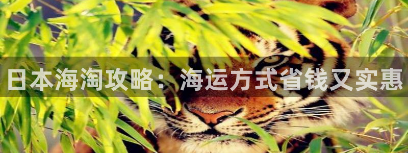 公海赌赌船jcjc710