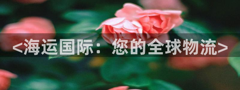 公海赌博怎么处理