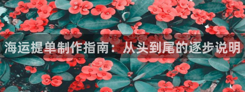 欢迎来到公海电脑版