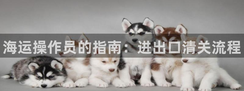 公海赌赌船官网jc710公海