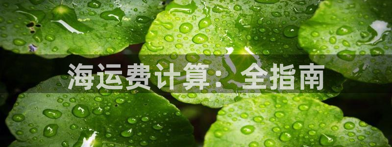 公海赌赌船手机下载