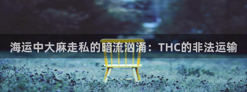 公海赌船怎么样