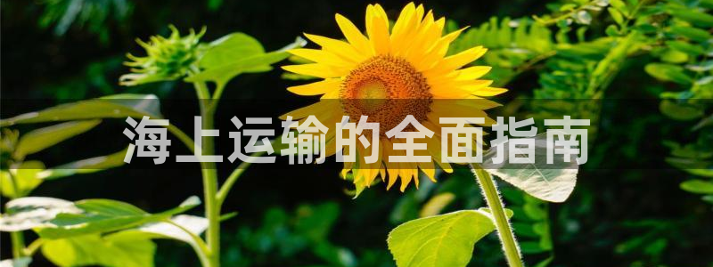 欢迎公海来到赌船710_首页(欢迎您)
