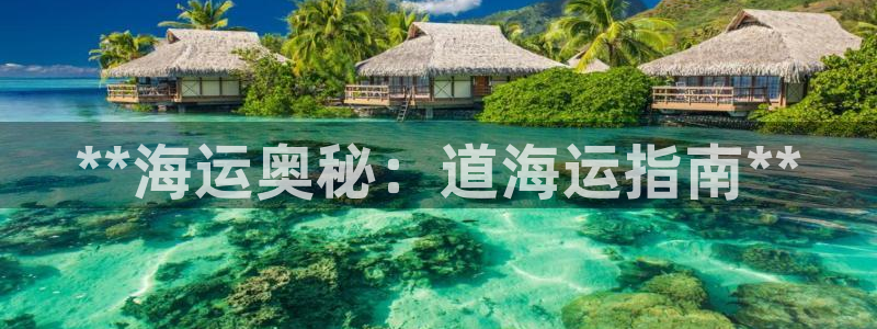 公海船赌网站是多少